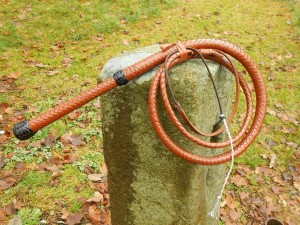 bullwhip